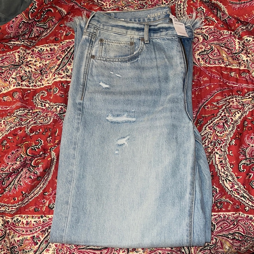 BRAND NEW WITH TAGS AMERICAN EAGLE SKATER JEAN! ✨